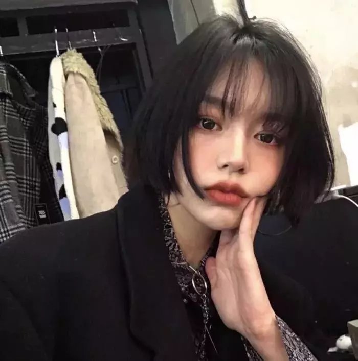 哈莱姆的郁金香