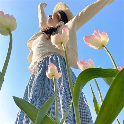 51号公式