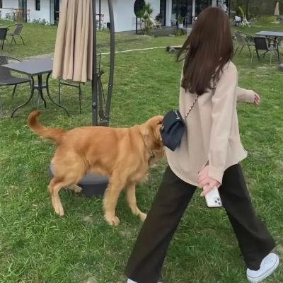 绿海迷踪