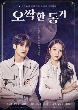 白人男孩瑞克 封面图